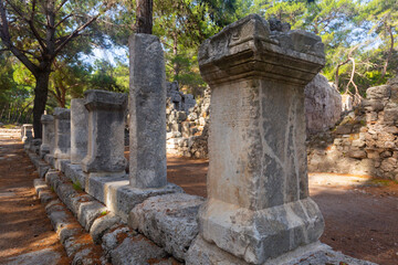 Fototapeta na wymiar Colonnaded paved ancient street in Phaselis, row of columns in Lycian city. View of inscription on column.