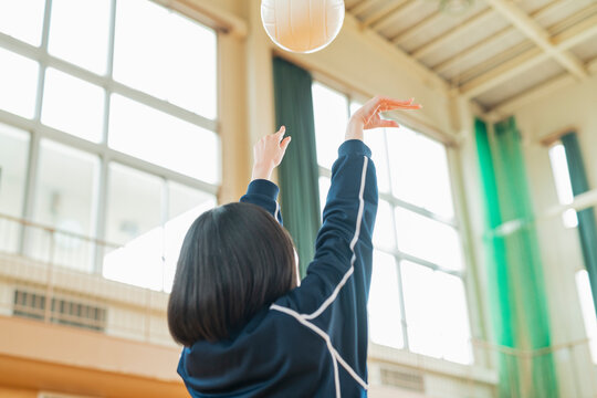 体育館 バレーボールの練習をする女子高生