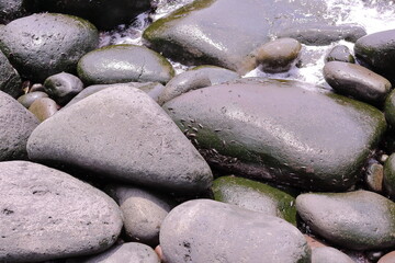 제주도 해변의 큰 몽돌바위들과 갯강구