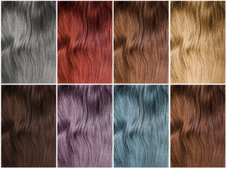 Collage with multicolored hair samples. Color palette
