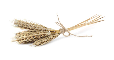 Ears of wheat on white background. Cereal plant