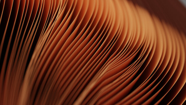 close up image of book pages