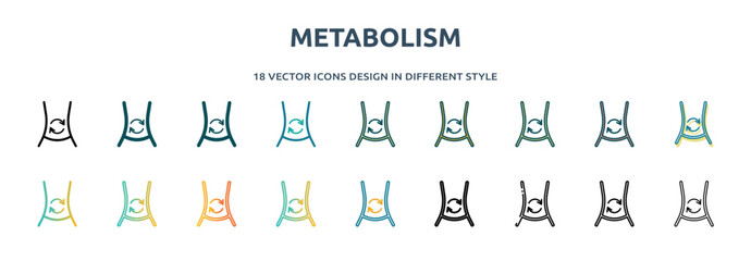 metabolism icon in 18 different styles such as thin line, thick line, two color, glyph, colorful, lineal color, detailed, stroke and gradient. set of metabolism vector for web, mobile, ui - obrazy, fototapety, plakaty