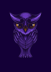 owl in the night