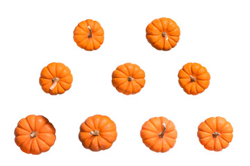 Multiple mini orange pumpkins isolated cutout