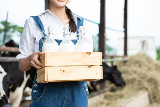 Close up of Asian woman dairy farmer holding bottle of milk in cowshed