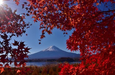 秋の河口湖　紅葉と富士山