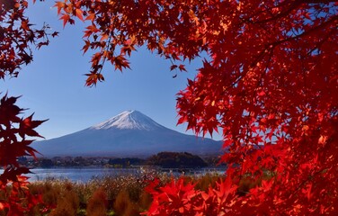 秋の河口湖　紅葉と富士山