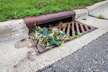 Summer leaves and debris after a storm clogging a drain in the street