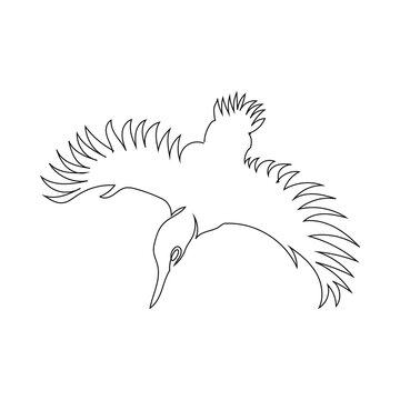 recommend clip art: Bird flying line art drawing style, The bird sketch black linear isolated on white background, And the  best bird flying vector illustration. 