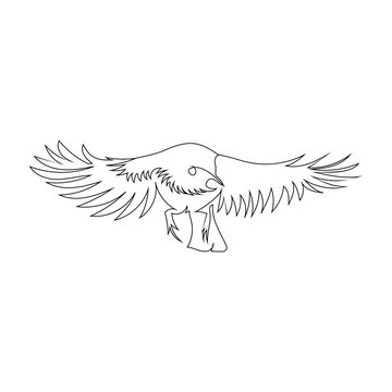 recommend clip art: Bird flying line art drawing style, The bird sketch black linear isolated on white background, And the  best bird flying vector illustration. 