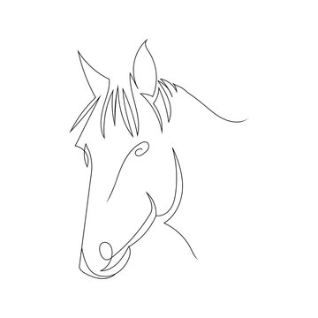 Horse head line art drawing style, The horse sketch black linear isolated on white background, And the  best horse head line art vector illustration.