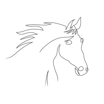 Horse side head line art drawing style, The horse sketch black linear isolated on white background, And the  best horse head line art vector illustration.