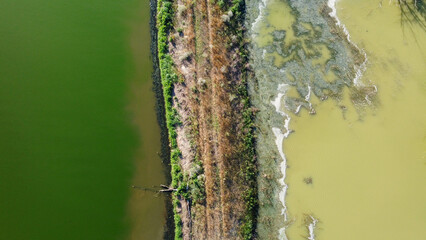 Road through a swamp Ukraine, Ukrainian landscape, photo from a drone. Aerial view