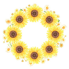 Sunflowers and chamomile wreath. Watercolor illustration. Isolated on a white background. For design