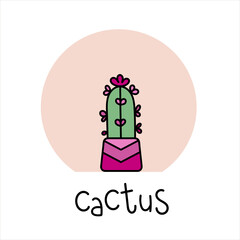 Cactus Hand drawn. Succulent in a pot. Doodle vector illustration