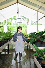 Beautiful Asian Woman in rubber boots with a plant garden walking  in her garden. Working in the...