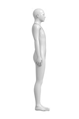 Man, Human Male Body, 3D