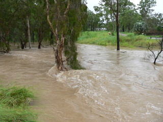 Flood water rushing through a creek with trees after a summer storm