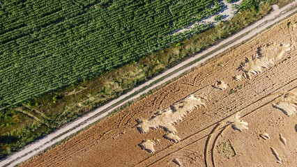 road through the fields with harvest ukraine filming from a drone