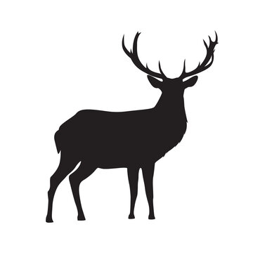 Deer silhouette vector isolated. Adult deer, stag with horns.