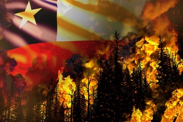 Forest fire natural disaster concept - heavy fire in the trees on Chile flag background - 3D illustration of nature