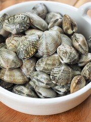 신선한 음식재료 바지락, 조개류