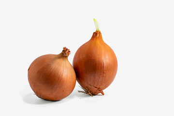 Brown onion isolated on white background.