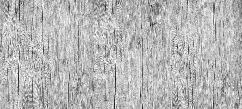 Light gray wood grain texture. Wooden surface abstract textured background