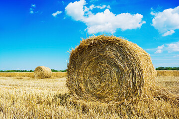 Natural landscape. Field with hay bale under the blue sky