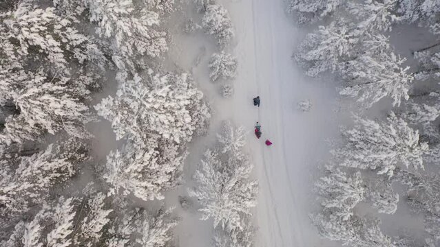 Drone video of a tracking family seldding on the snow