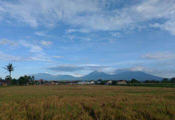 Beautiful morning around the village in Banyuwangi city, East Java, Indonesia.
