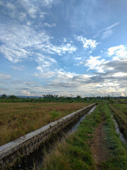 Fototapeta na wymiar Beautiful Morning around the village in Banyuwangi, East Java, Indonesia.