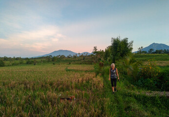 Fototapeta na wymiar A woman walking around rice field with the dog, surrounding by beautiful landscape.