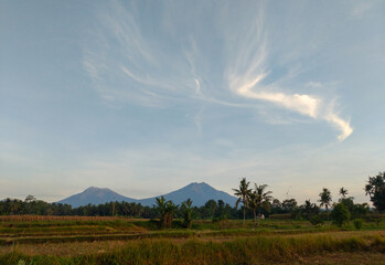 Obraz premium Beautiful Morning around the village in Banyuwangi, East Java, Indonesia.