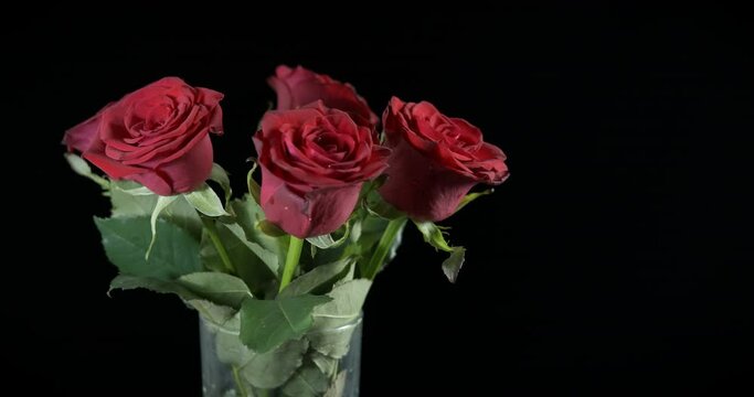Home vase with roses. A view of home vase full with fresh red roses stay on the table in the night.