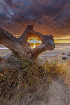 Spectacular sunset in the south of France, Labenne