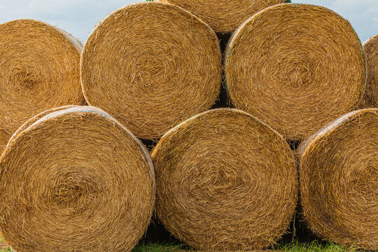 baled hay into large hay bales. Several bales of hay lie in a heap and are stacked. direct view of the outsides of the hay bales. small grass scar visible on the ground