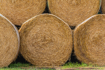 Hay bales at the edge of the field after harvest. Straw and hay pressed into straw bales. hay bales next to each other. Structures of dry golden brown straw. turf on the ground