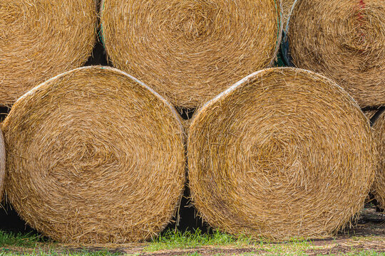 Details Bales of hay at the edge of the field after harvest. Bales of straw next to each other. and hay pressed into straw bales. Structures of dry golden brown straw. turf on the ground