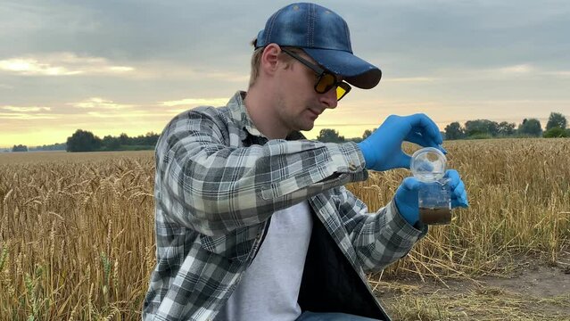 Agronomy scientist conducting soil analysis by adding reagent to glass beaker with sample, observing reaction in flask at agricultural grain field in warm rays of summer dawn. Environment research