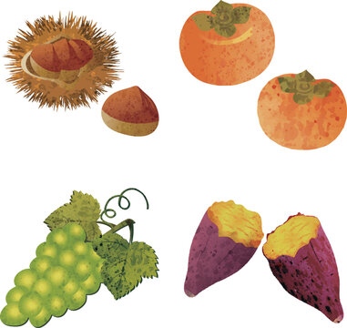 秋の果物 の画像 117 035 件の Stock 写真 ベクターおよびビデオ Adobe Stock