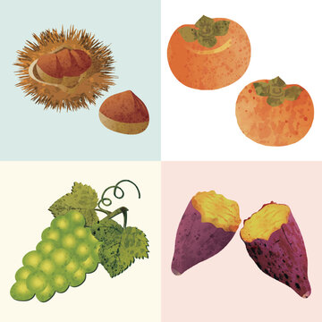 Ribbon S Photos Images Assets Adobe Stock