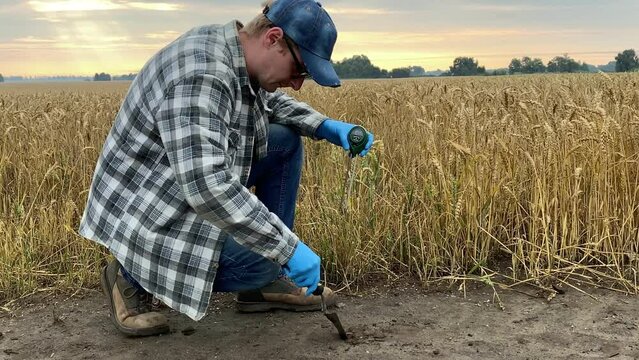 Agronomy specialist measuring soil pH value, moisture, temperature by using soil tester at agricultural wheat field sunrise. Farmer working, applying measuring instrument outdoors. Soil certification