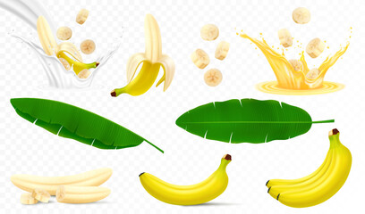 Set of banana fruits, bunch of bananas, peel, peeled banana, slices and halves, leaves from a banana palm, splash of banana in milk or juice. Realistic 3d vector illustration, isolated © Инна Харламова