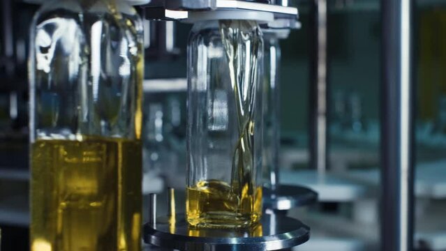 Process of bottling of olive oil in glass bottles on olive producing oil factory. 4K