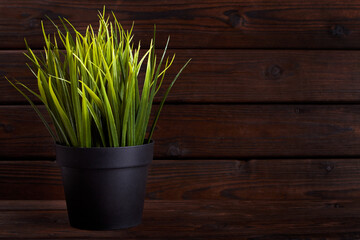 Artificial grass in plastic pot on wooden background with copy space