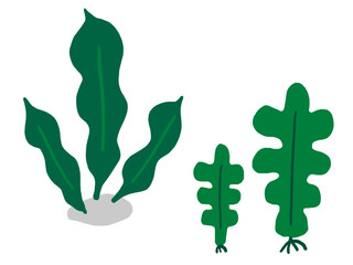 かわいい海藻のこんぶとわかめ／手描きイラスト素材