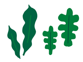 かわいい海藻のこんぶとわかめ／手描きイラスト素材