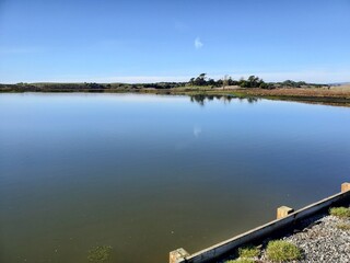 lake in the morning